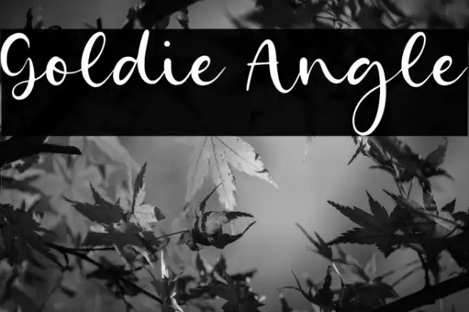Goldie Angle Font examples