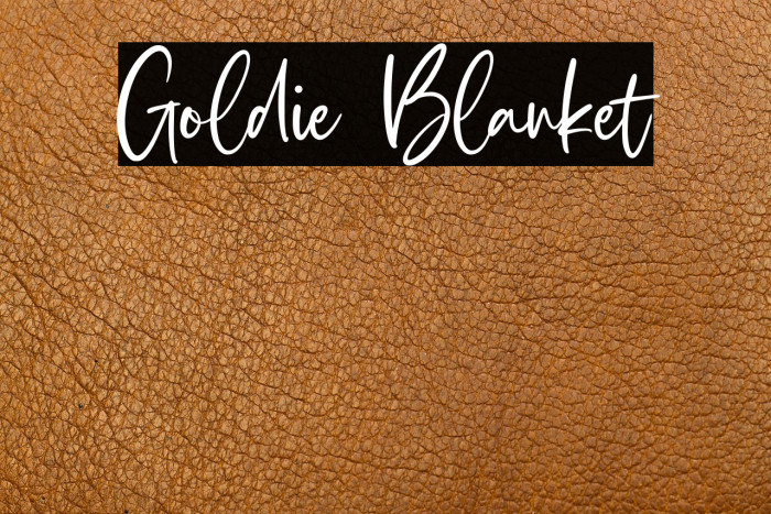 Goldie Blanket Example 1