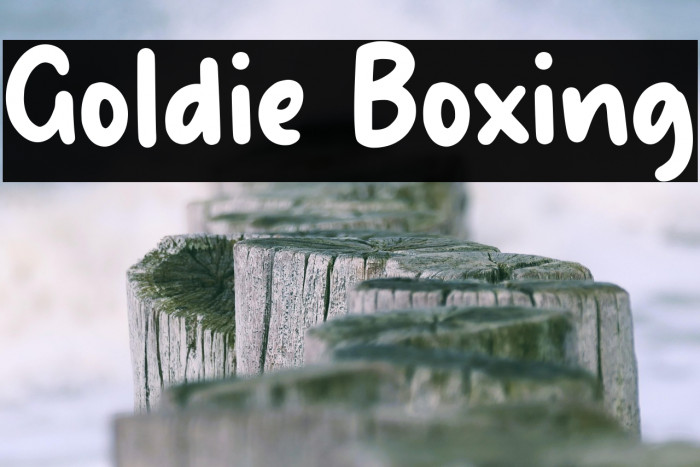 Goldie Boxing Example 2