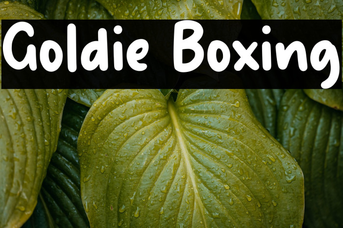 Goldie Boxing Example 3
