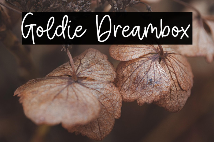 Goldie Dreambox Example 1