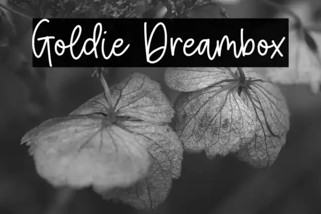 Goldie Dreambox Font examples