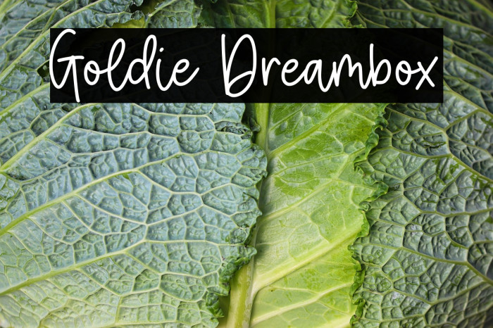 Goldie Dreambox Example 3