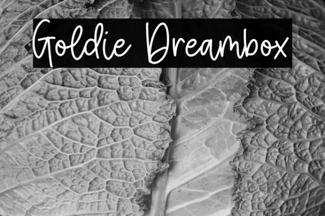 Goldie Dreambox Font examples
