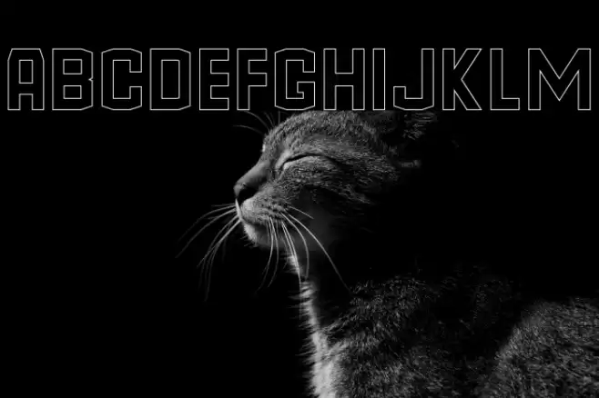 Goldin Finance DEMO Storoke Font examples