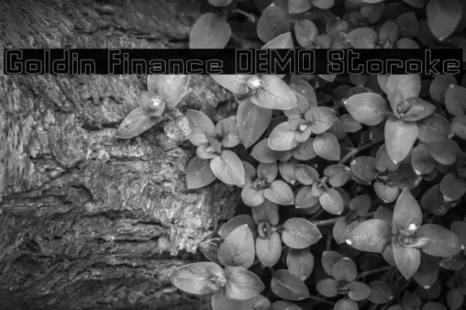 Goldin Finance DEMO Storoke Font examples