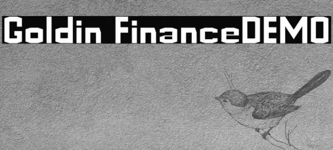 Goldin FinanceDEMO Font examples