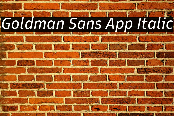 Goldman Sans App Italic Font examples