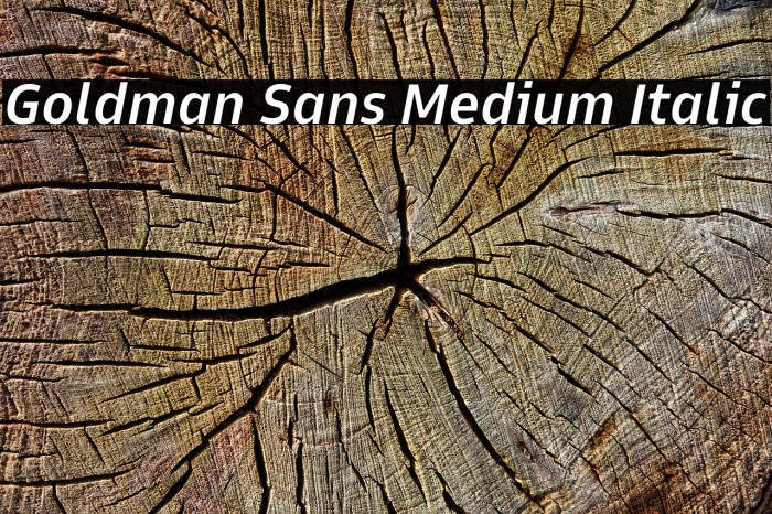 Goldman Sans Medium Italic Example 1