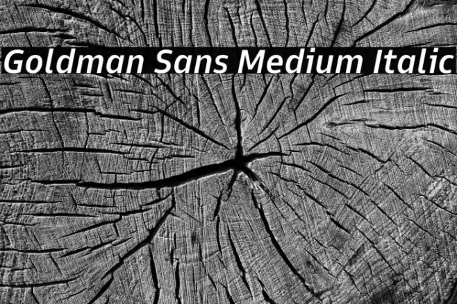 Goldman Sans Medium Italic Font examples