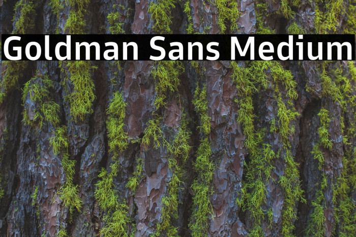 Goldman Sans Medium Font examples