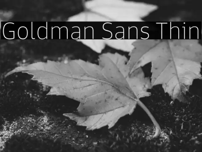 Goldman Sans Thin Font examples