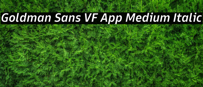 Goldman Sans VF App Medium Italic Example 1