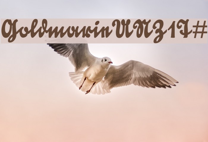 GoldmarieUNZ1T# Example 1