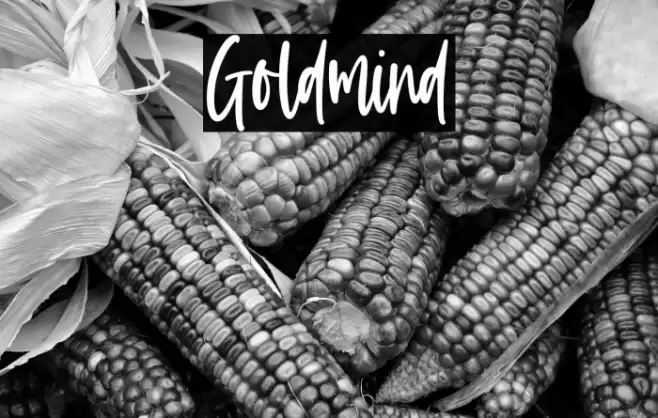 Goldmind Font examples