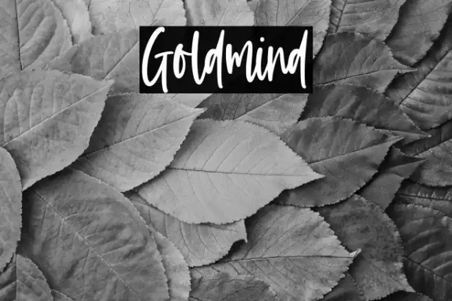 Goldmind Font examples