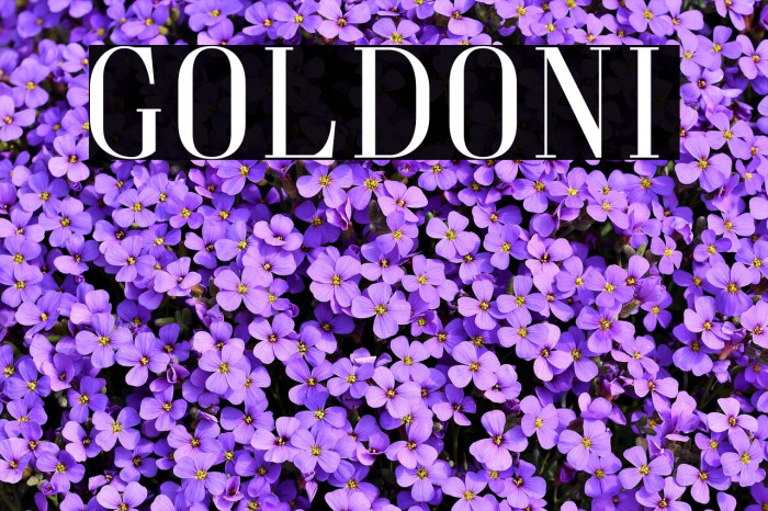 Goldoni Fonte examples