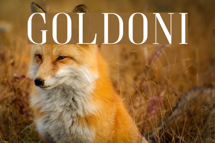 Goldoni Font examples