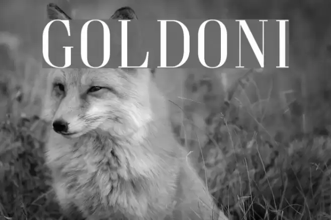 Goldoni Font examples