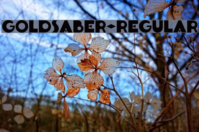 Goldsaber-Regular Font examples
