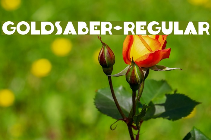 Goldsaber-Regular Font examples
