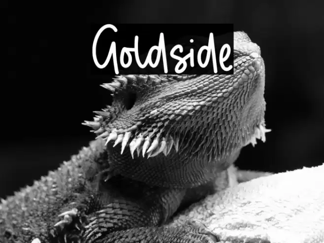 Goldside Font examples