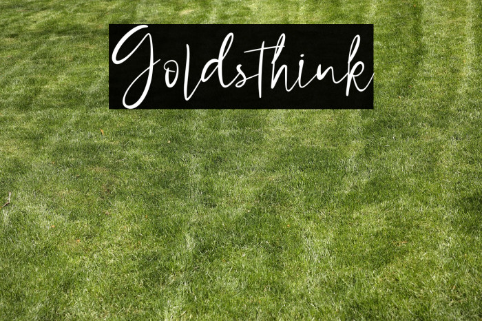 Goldsthink Example 1