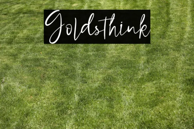 Goldsthink Example 1