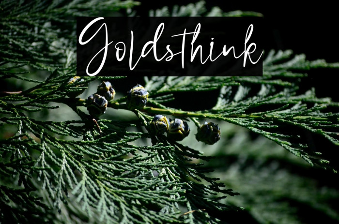 Goldsthink Example 3