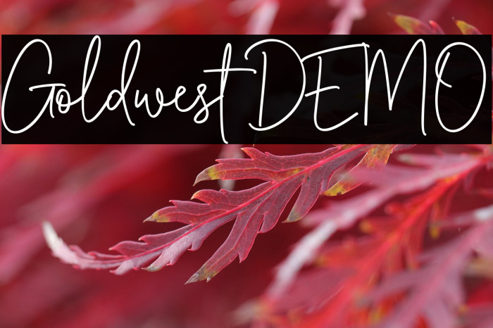 Goldwest DEMO Example 2