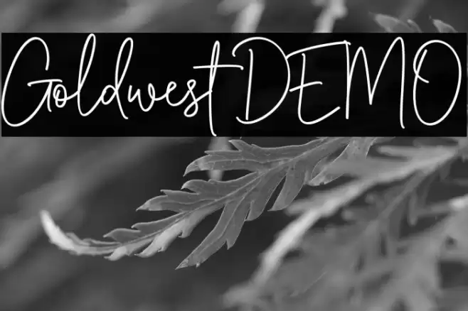 Goldwest DEMO Font examples