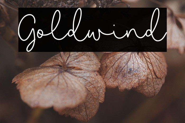 Goldwind Example 3