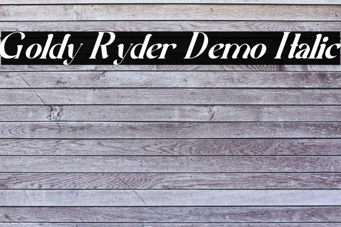 Goldy Ryder Demo Italic Example 2