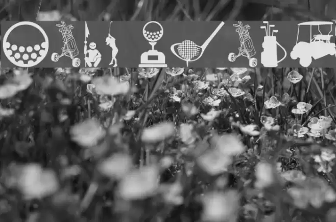 Golf Icons Font examples