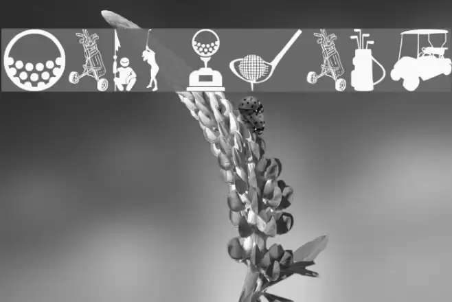 Golf Icons Font examples