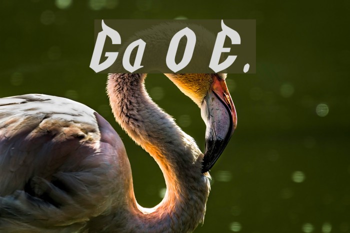 Golgotha Oblique E. Font examples