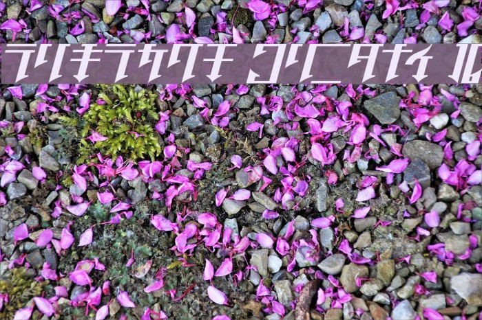 Golgotha Oblique J. Font examples