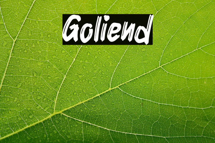 Goliend Example 1