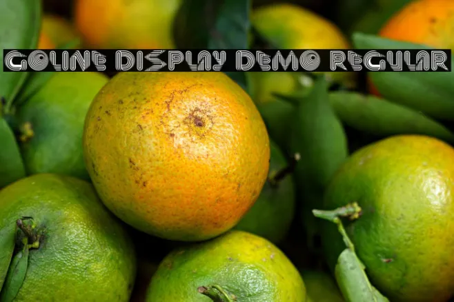 Goline Display Demo Regular Example 1