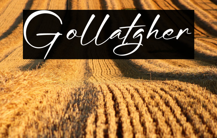 Gollatgher Example 1