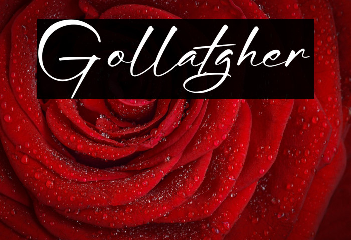 Gollatgher Example 2