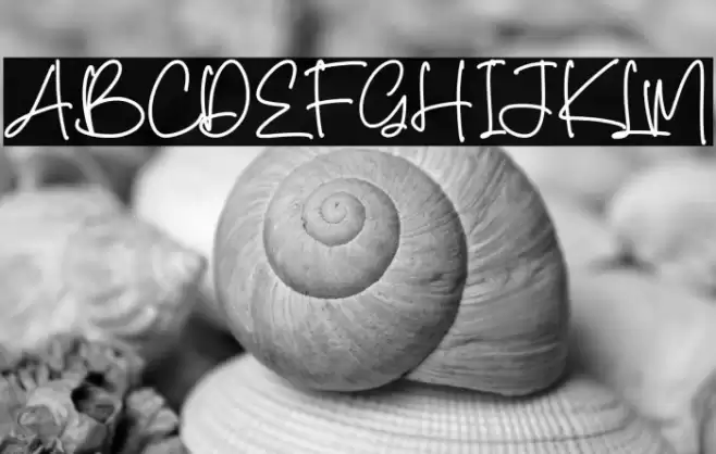 Gollden Hourse Caratteri examples