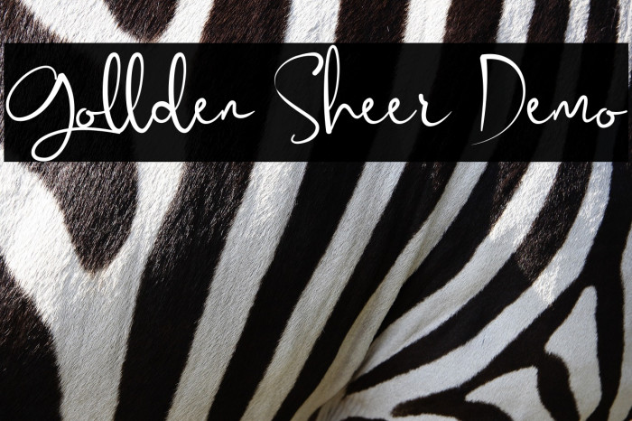 Gollden Sheer Demo Example 2