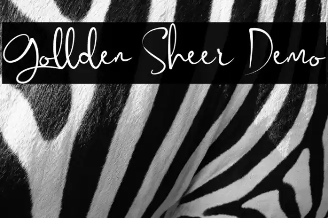 Gollden Sheer Demo Font examples