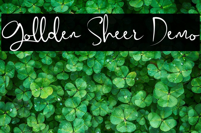 Gollden Sheer Demo Example 3