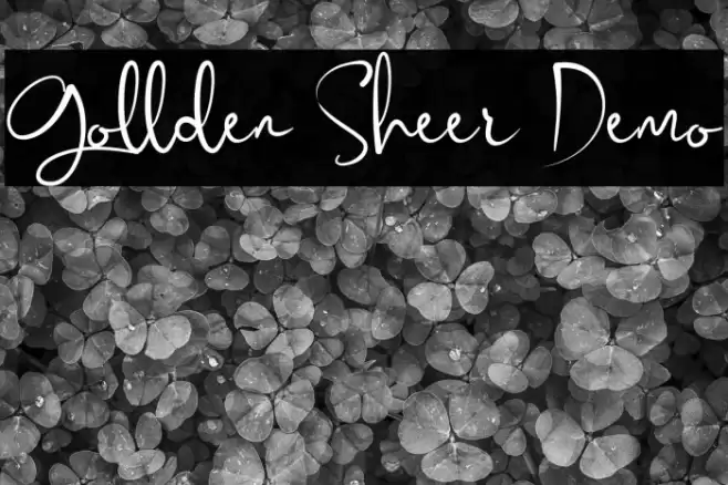 Gollden Sheer Demo Font examples