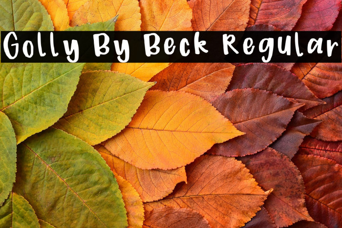 Golly By Beck Regular Example 1