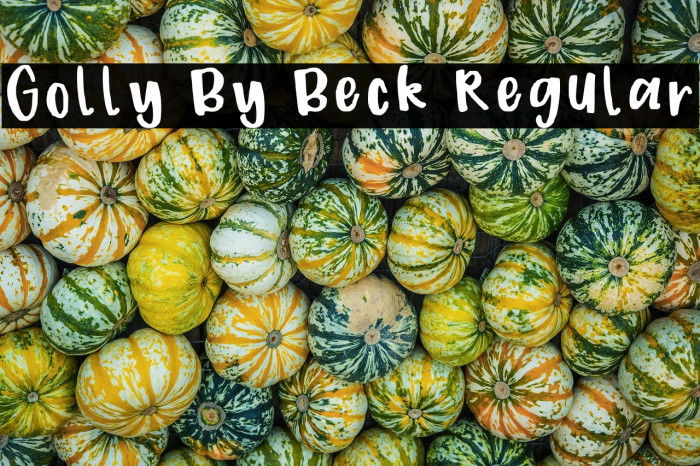 Golly By Beck Regular Example 2