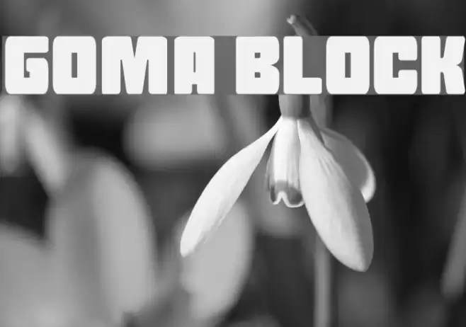 Goma Block Fuentes examples