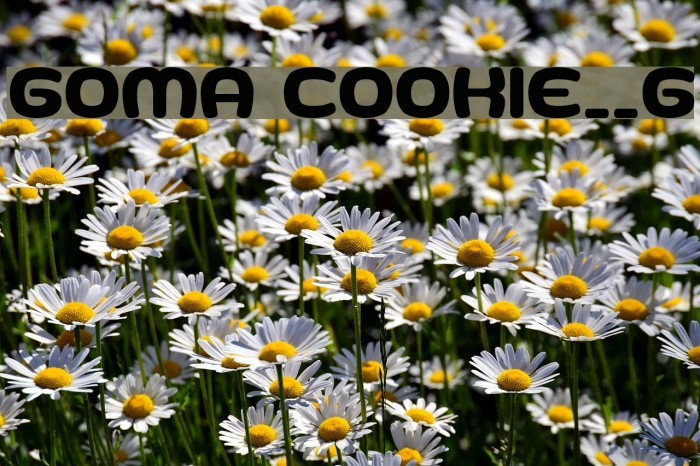 Goma Cookie__G Font examples
